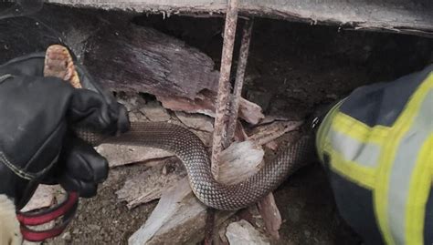D­e­p­o­y­a­ ­g­i­r­e­n­ ­y­ı­l­a­n­ı­ ­i­t­f­a­i­y­e­ ­y­a­k­a­l­a­d­ı­ ­-­ ­S­o­n­ ­D­a­k­i­k­a­ ­H­a­b­e­r­l­e­r­